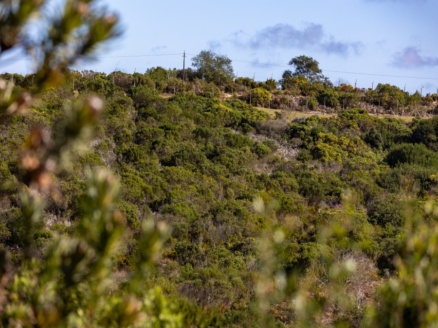 0 Bedroom Property for Sale in Pezula Private Estate Western Cape